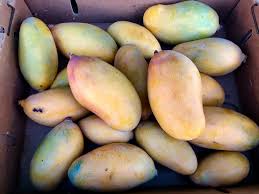 Mangos